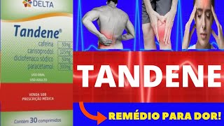 TANDENE - PARA QUE SERVE, COMO TOMAR, EFEITOS COLATERAIS - TUDO SOBRE TANDENE