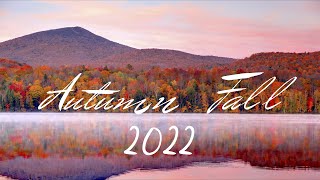 Indie - Folk / Pop Compilation  - Autumn / Fall Aesthetic 2022 🍁🍂🍁 4-Hour Playlist #relaxingcosiness