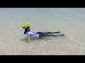 奄美大島 × specialized e bike 世界自然遺産の島をレンタサイクルで楽しむ！　amami island （world natural heritage site）