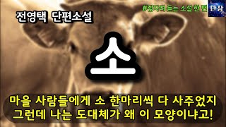 마을 사람들에게 소 한마리씩 다 사주었지 그런데 나는 도대체가 왜 이 모양 이꼴이냐고! [소] 전영택 #책읽어주는남자 #오디오북 #책과함께하는하루단잠