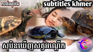 សុបិនឃើញសត្វអណ្ដើក(subtitles khmer)_@សុបិនDream