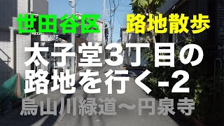 路地散歩「太子堂3丁目の路地」を行く-2 世田谷区 烏山川緑道〜円泉寺