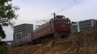 【貨物列車】　４０８３レ　ＥＦ８１