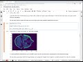 Binder interactive Jupyter Notebook