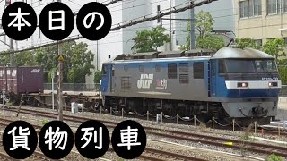 【本日の貨物列車】No.544　2022,1,12　第1062番列車　Today‘s freight train