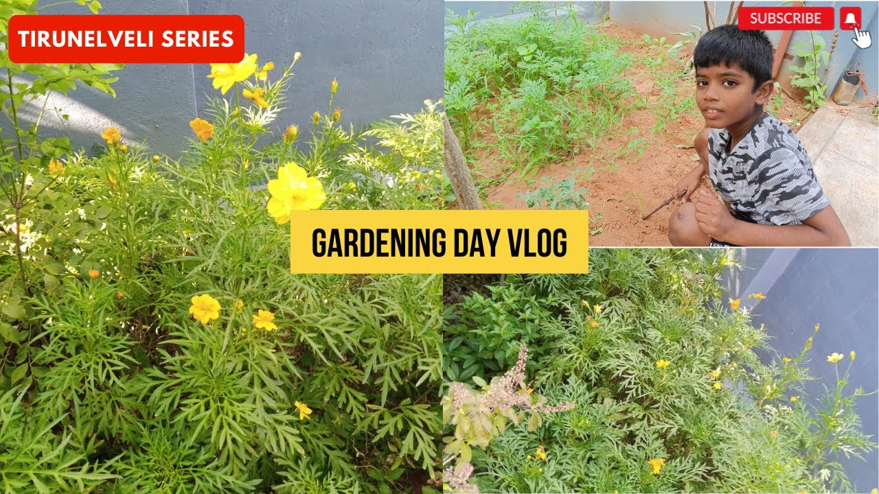 Gardening Day Vlog Youtube