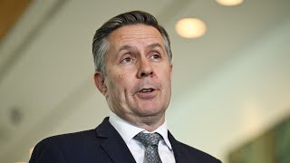 Mark Butler's review into gender-affirming care labelled 'grossly inadequate'