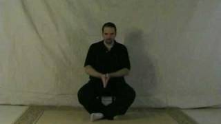 DVD- Seated Eight Section Brocade Qi Gong and Breathing Exercise