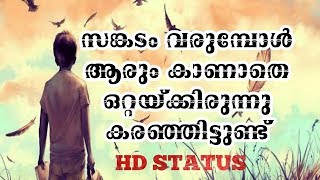 സങ്കടം വരുമ്പോൾ ആരും കാണാതെ ഒറ്റയ്ക്കിരുന്നു കരഞ്ഞിട്ടുണ്ട്..!