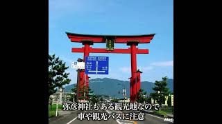 【新潟】弥彦山スカイライン／県道561号線／二輪通行不可 〜 日本海を眺望する山岳スカイライン〜[バイク・車でドライブしたい日本百名道・No.48]