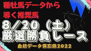 【競馬予想】8月20日厳選勝負レース！種牡馬データから導く推奨馬大公開！