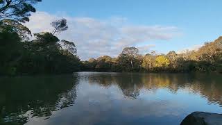 Blackburn Lake Sanctuary