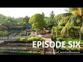 Tropical Organic Gardening - Episode 6 - Care and maintenance