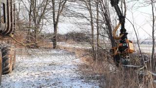 Velkop/zaagklem GMT 035 voor het zagen en laden van bomen, energiehout en biomassa