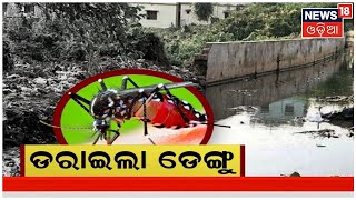 Bhubaneswar Dengue News | ଗତ 24ଘଣ୍ଟାରେ ଭୁବନେଶ୍ୱରରୁ ପୁଣି ଚିହ୍ନଟ ହେଲେ 32ନୂଆ ଡେଙ୍ଗୁ ରୋଗୀ