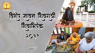 Special Sawan Shivratri 2019 Abhishek - -Shivabhishek | Sawan Shivratri 2019