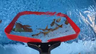 ProTuff Pool Flat Silt Net Review