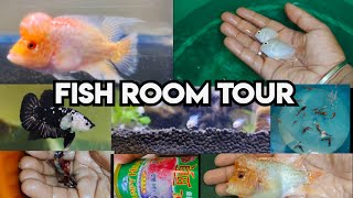 Fish room tour / Fish room tour Tamil / #fish #betta #flowerhorn / Flowerhorn update