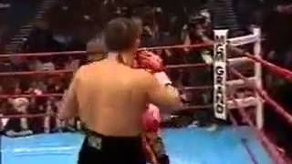 Dizzy boxer