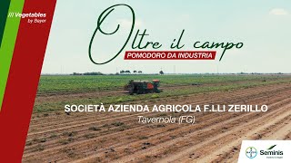 Oltre il campo - Società Agricola F.lli Zerillo /// Seminis by Bayer