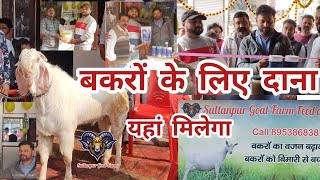 बकरों के लिए दाना  ।  फीड सप्लीमेंट शॉप का उदघाटन । Sultanpur Goat Farm Feed \u0026 Supplement