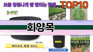 요즘 많이 팔린 회양목 추천 Top10