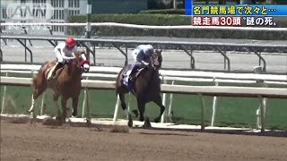 競走馬に“謎の事故”相次ぎ安楽死　30頭目が死ぬ(19/06/24)