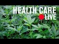 The health risks and policy problems of cannabis legalization | LIVE STREAM