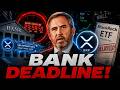 FLR & XRP LOOK BEYOND PRICE! - RIPPLE BANK DEADLINE REVEALED! - BLACKROCK DELAYING ETF? - XRP NEWS!