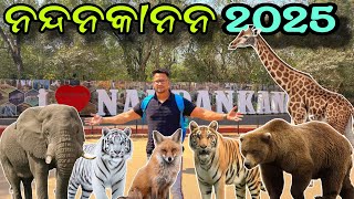 ନନ୍ଦନକାନନ  ରେ କେତେ ଜୀବଜନ୍ତୁ ଅଛନ୍ତି 2025 ରେ… || ମହାବଳ ବାଘ || Nandankan Zoo Odisha ||