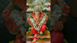 শুভ গণেশ চতুর্থী#ternding #ganeshchaturthi #starjalsha #zeebangla #viralvideo