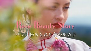 【Rose Beauty Story】ブルガリア ダマスク ローズ ウォーターが出来るまで