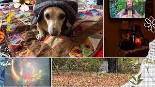 vlog 117/therapy in the forest/cleaning for inner peace/shopping/food/movies