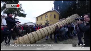 Il Punto fuochi e  farchie per Sant' Antonio