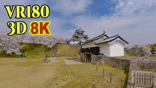 [ 8K 3D VR180 ] 桜に囲まれた白河小峰城 Shirakawa Komine Castle surrounded by cherry blossoms in Fukushima,Japan