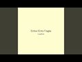 Ember Echo Fragile