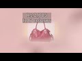 luxurious women s leather handbags and shoulder bag