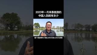 2023年1月来泰国旅游的中国人到底有多少，不听谣言，只看数据，你们都去哪了？#泰国旅游 #出境旅游开放 #东南亚风情