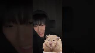 2022.11.11 Fri instalive in Korea Gme Hyojin