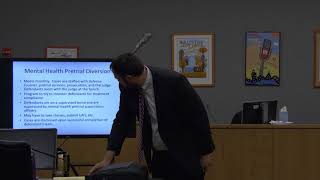 Prosecutors Present Specialty Courts in Travis County (5-16-2018)