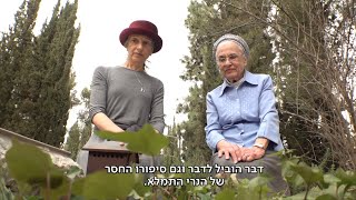 אין מי שיפקוד את הקבר: פרויקט חדש מאתר קרובי משפחה של לוחמים שנפלו