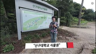 [한국열린사이버대학교] VR 360_나무의사와 수목이야기