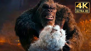 All King Kong Vs Titans Fights & Death Scenes (2024) Godzilla x Kong Movie