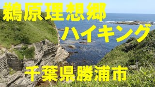 鵜原理想郷ハイキングコース