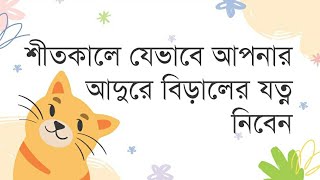 শীতে বিড়ালের যত্ন | Winter Cat Care | How to Keep Cats Warm and Healthy in Winter @apurbopetcare3587