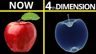 What you'll look like in 4th Dimension ?