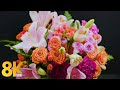 Amazing Flowers 8K ULTRA HD - Relaxing Screensaver - 10 HOURS Peaceful Piano Music - Part #2