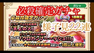 サウスト  名声イベント 天上の火 必殺確定ガチャ 22連