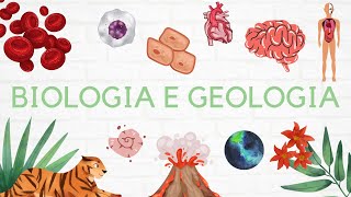 #16 Geologia 11º ano - Magmatismo e Rochas Magmáticas 🌋