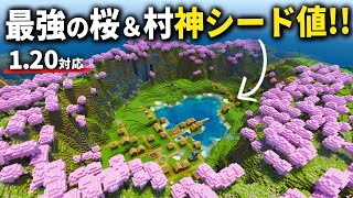 1.20対応【マイクラ統合版】リス地に村が２つもある！神桜バイオームシード値を紹介！【PE/PS4/Switch/Xbox/Win10】ver1.20